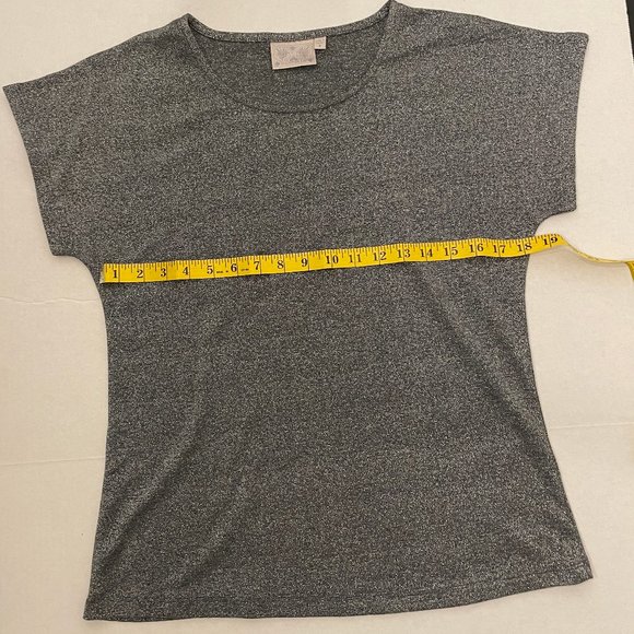 Dantelle Silver Grey Metallic Shimmery Light Shirt Short Sleeve Scoop Neck Small - Picture 4 of 5